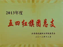 2013年度五四紅旗團(tuán)總支